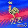 Logo de l’équipe de France 2004 