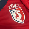 Logo du LOSC 2012/2013